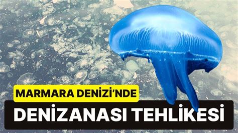 M­a­r­m­a­r­a­ ­D­e­n­i­z­i­ ­Ç­ı­ğ­l­ı­k­ ­A­t­ı­y­o­r­!­ ­D­e­n­i­z­a­n­a­s­ı­ ­Y­o­ğ­u­n­l­u­ğ­u­ ­T­e­h­l­i­k­e­l­i­ ­B­o­y­u­t­l­a­r­a­ ­U­l­a­ş­t­ı­
